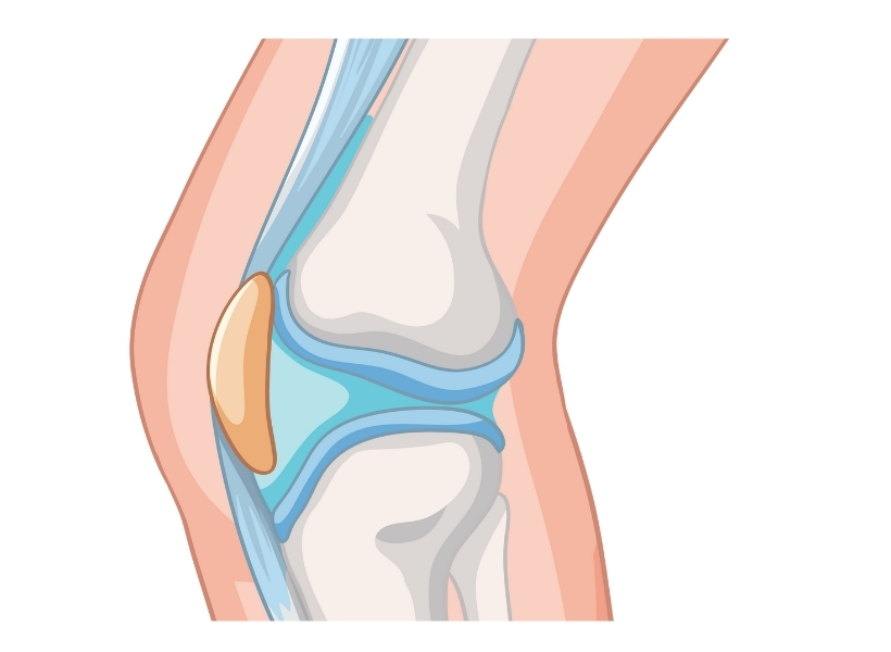 Olej z kryla antarktycznego z MCT - 220 ml zdrowe-stawy