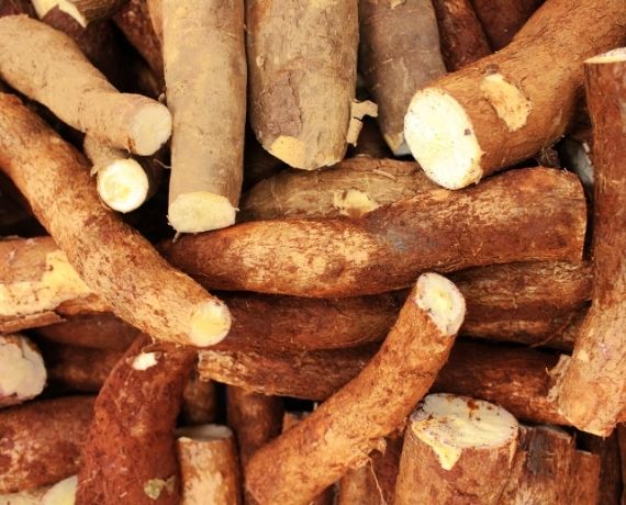 porównanie błonników keto psyllium inulina błonnik bambusowy