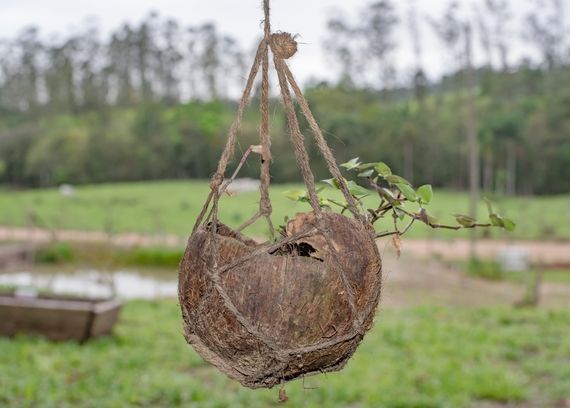 dawkowanie oleju mct bio