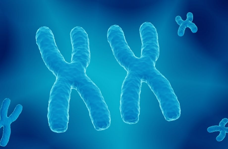  telomery-a-picie-kawy