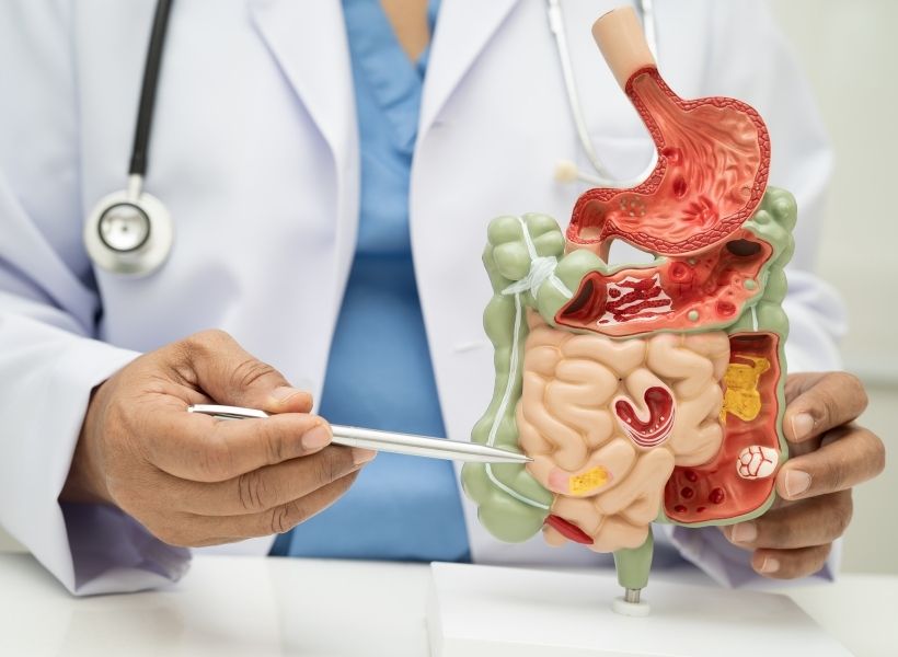 mikrobiom-jelitowy-na-ketozie