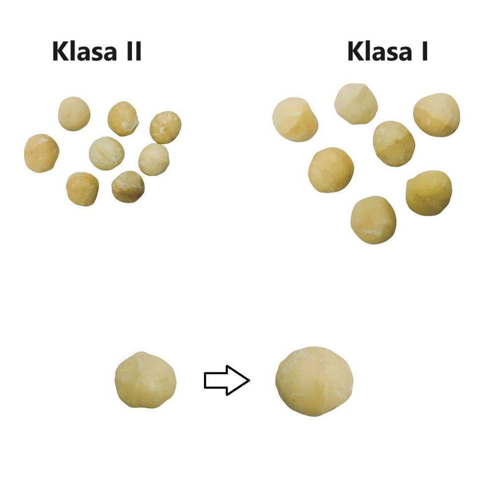 Orzechy Makadamia, klasa I (500 g) - podketo.pl