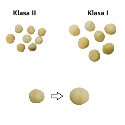 Orzechy Makadamia, klasa I (500 g) - podketo.pl